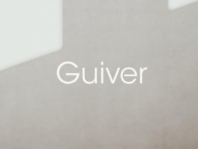 Guiver Barcelona Visual Identity