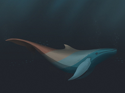 Whale illustration dark error illustration ui underwater whale