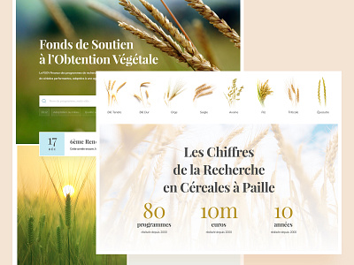 Agronomic Research Website
