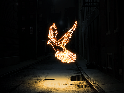 Sparkler dove photoshop