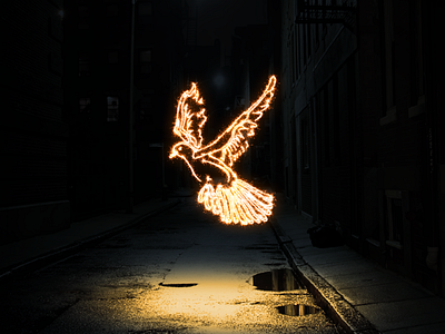 Sparkler dove