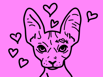 drawing cat hearts sphinx