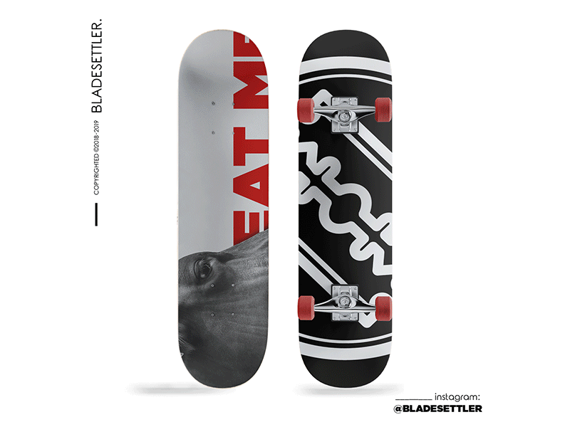 BladeSettler Skateboard Set