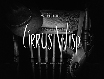 Cirrus Wisp Font dwayneadams font font design fonts illustrator vector