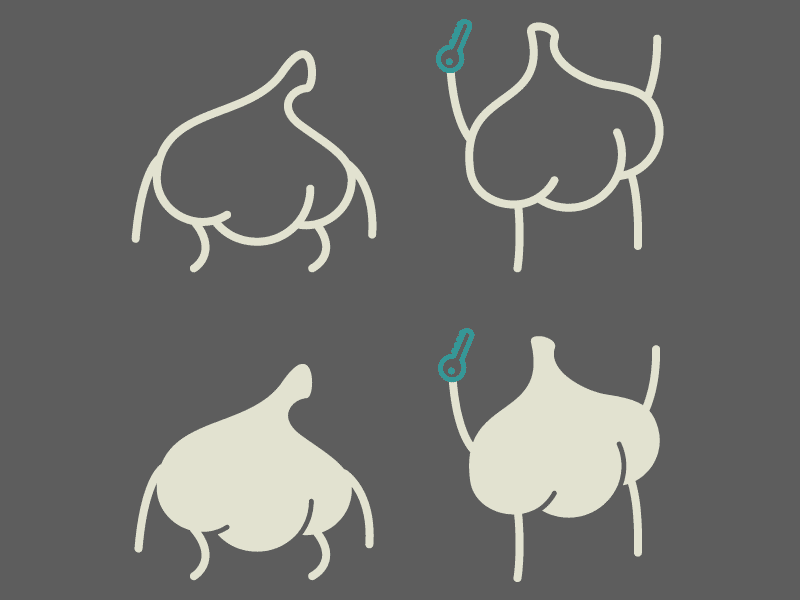 Password Garlic triumphant happy sad forlorn wip garlique garlic