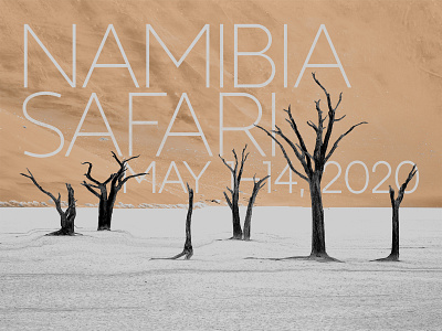 NAMIBIA SAFARI