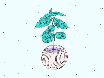 Tiny Coffee coffee illustration plant