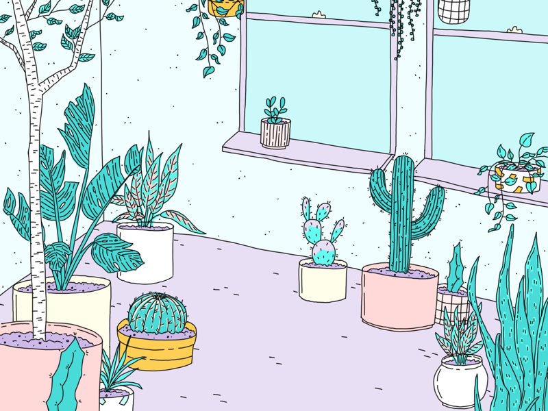 STUMP Plants purple green plants illustration