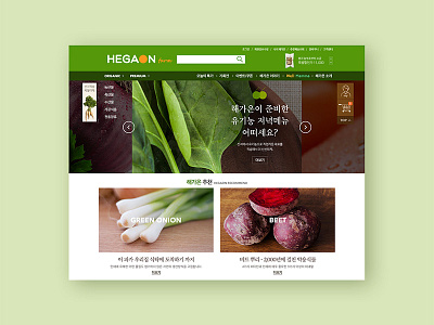 Haegaon design e commerce uiux web