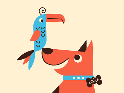 Toucan and Dog