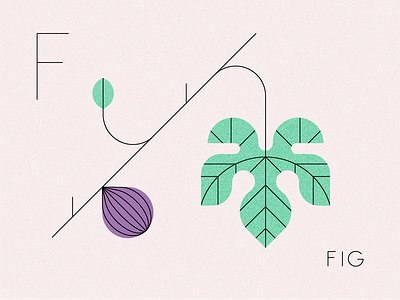 Fig design fig fruit illustration los angeles nature produce summer tree typography ui visual design