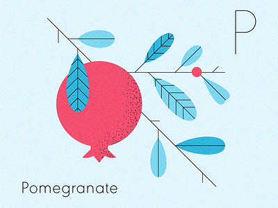 Pomegranate book book illustration childrens book fruit illustration illustrator leaves nature pomegranate produce texture vector visual design