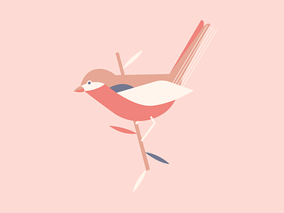 Birdie animal bird character experience illustration illustrator ui visual design