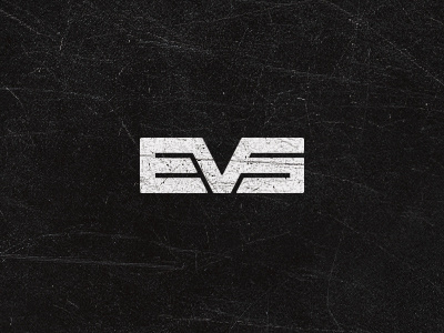 EVS car custom identity logo logotype mark photographer type wordmark
