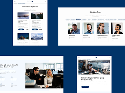 Trans Nordic Tours Website blue graphic design minimalism ui ux website whitespace