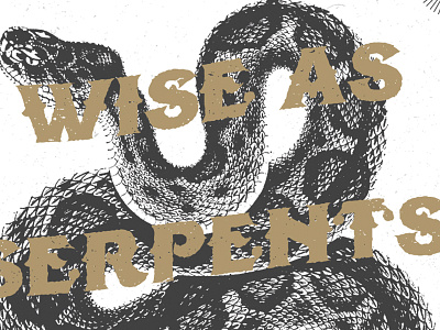 Wise As Serpents, Gentle As Doves jesus said it metallic poster print design scripture tried and true wise as serpents gentle as doves