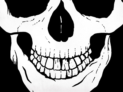 Skull Illustration illustration skull