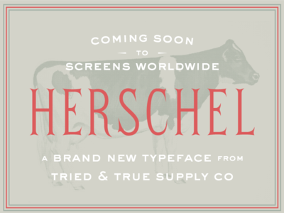 First look: Herschel™ cow dairy design flared serif font herschel moo ornate tried and true typeface