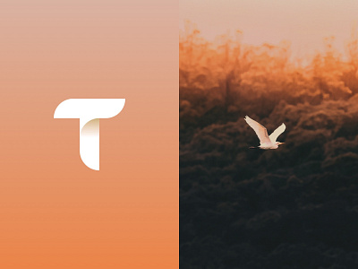 Travel App Logo Concept app bird branding concept design geometric letter lettermark logo travel travel app vector
