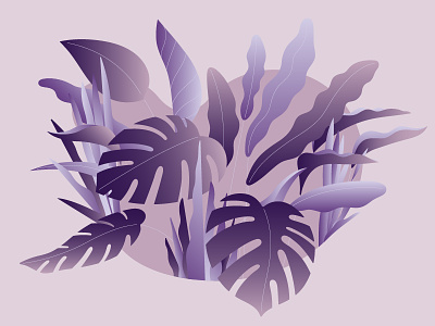 🌿 creative illustration plants