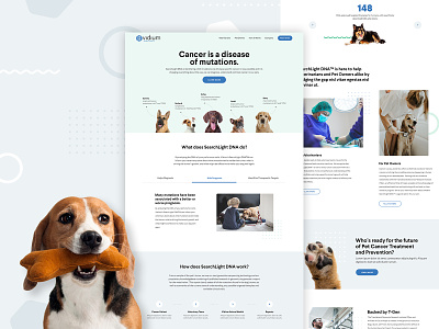 Vidium Homepage branding cancer clean clean ui dna dogs genetics genomes grid product design web design website whitespace