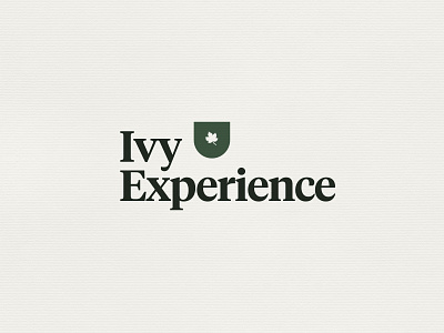 Ivy Experience - branding concept branding illustration logo typography vector