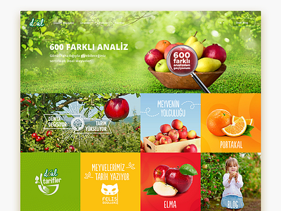 Fruit web page design fruit web