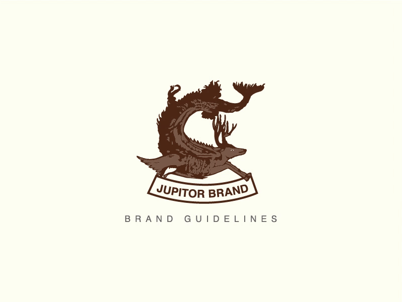 Jupitor Branding animation brand branding design gif guide guidelines identity jupitor logo style visual design
