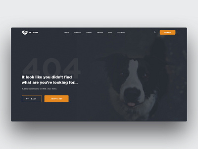 Animal Shelter | 404-page design logo product design typography ui ux web