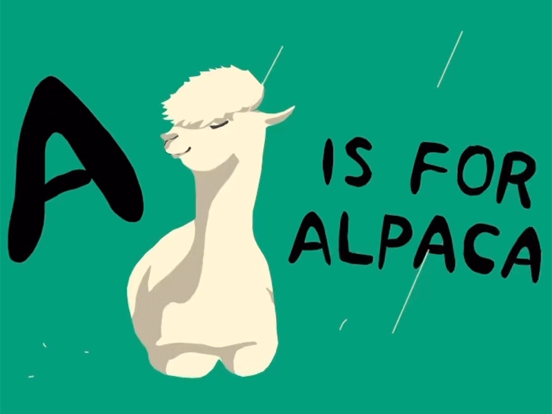 A is for Alpaca alpaca alphabets animal animation challenge colors design drawing gif green illustration kinetic types sketch typography