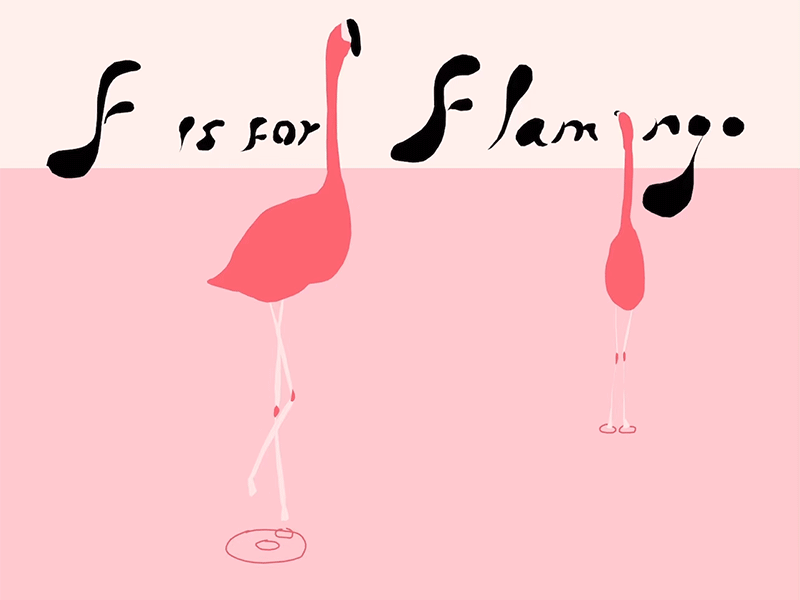 F is for Flamingo animation blob design drawing flamingo gif illustration pink red river sketch typography