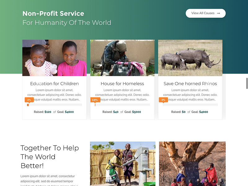 Ngo site designs, themes, templates and downloadable graphic