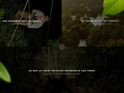 Il était une forêt - Case study case casestudy study ui webdesign
