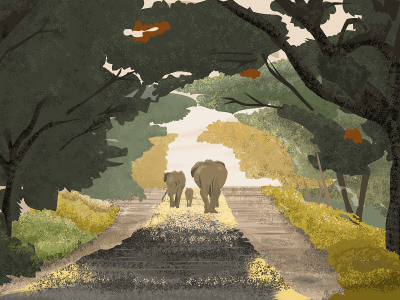 Sunset Road elephant gif illustration illustrator photoshop