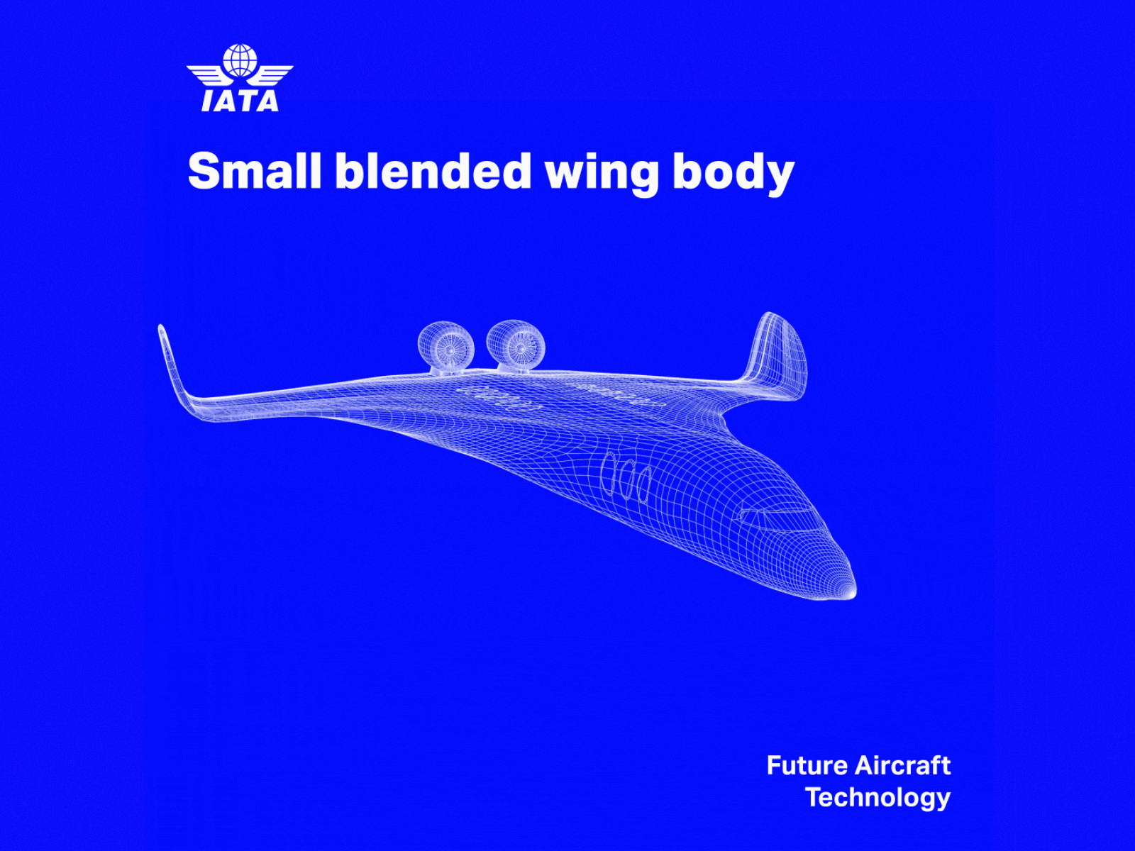 IATA - Small blended wing body.