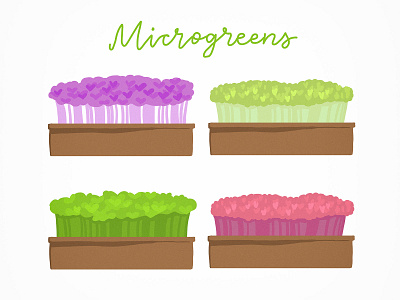 Microgreens