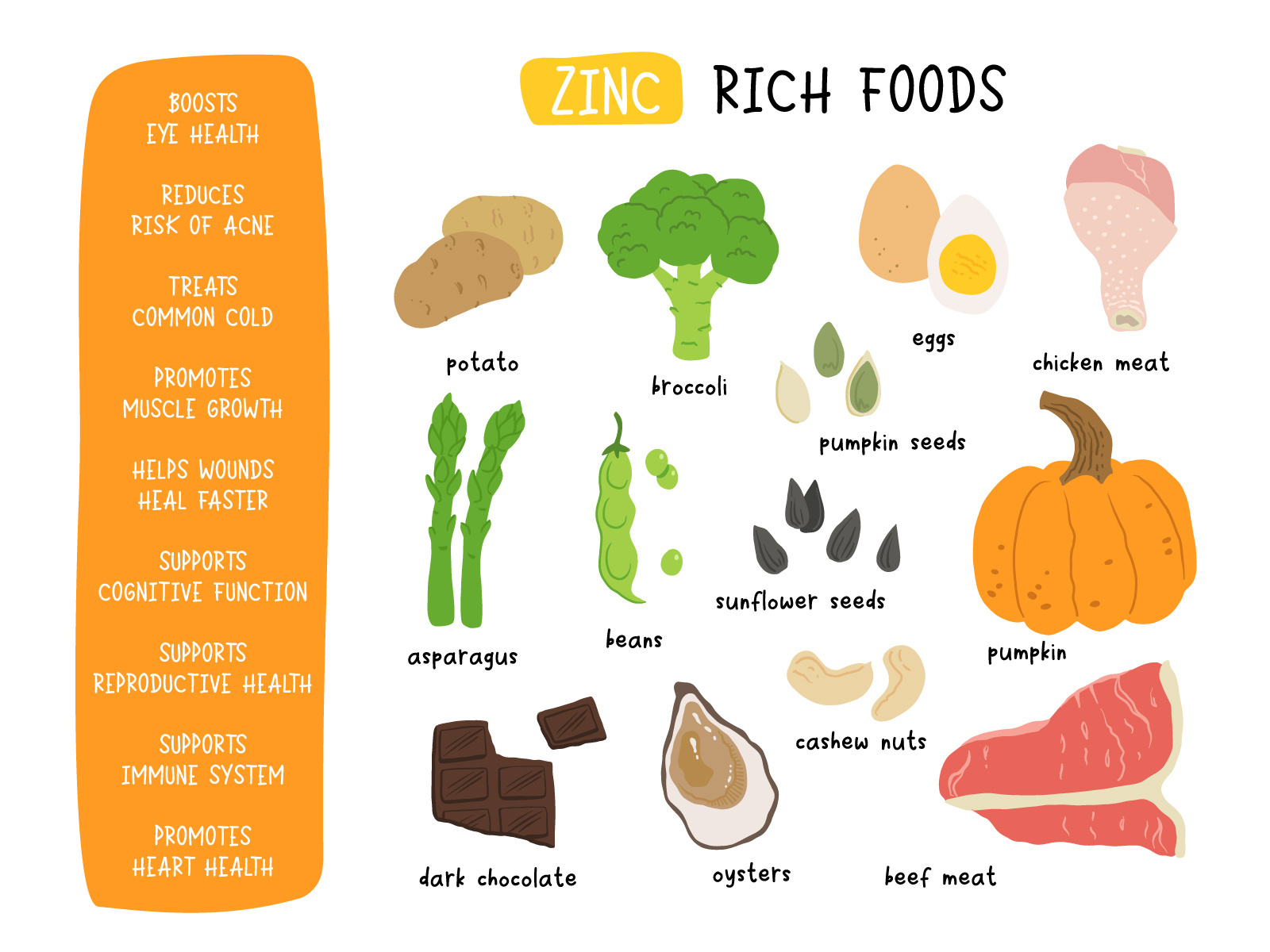 Zinc Rich Foods By Tanya Bosyk On Dribbble
