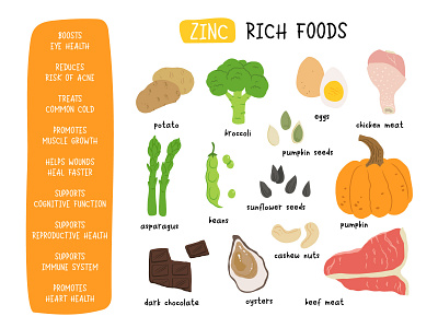 Zinc rich foods concept flat food health illustration infographic vector vitamin web