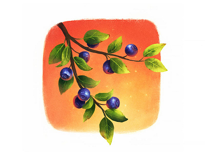 Blueberry blueberry digital illustration raster summer