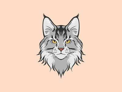 Maine Coons adorable animal cat coons cute kitten kitty maine pet