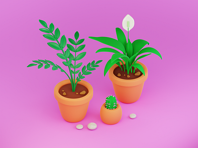 3d houseplants. Spathiphyllum cactus and zamioculcas 3d blender cactus cute plants zamioculcas