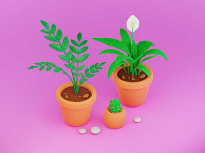 3d houseplants.  Spathiphyllum cactus and zamioculcas