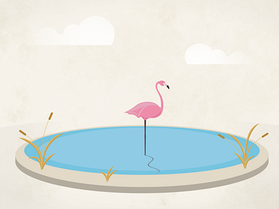 Beau Flamingo Explainer animation - first scene after design effects flamingo graphics illustrator motion