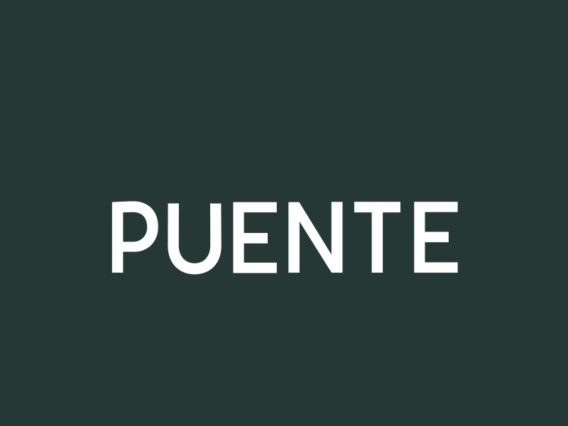 Puente Logo Animation ae after effects animated logo animation branding geometry identity logo logo animation motion graphics museums type