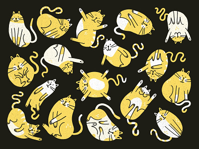 Cats cat color design flat illustration pattern procreate