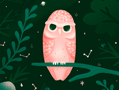 Hellowl constellation design designer designs draw illustration night owl owl illustration procreate procreateapp stars