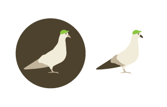 Pigeon brown green pictogram pigeon