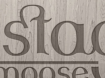 Stag Moose Semi Serif font serif type typography wood