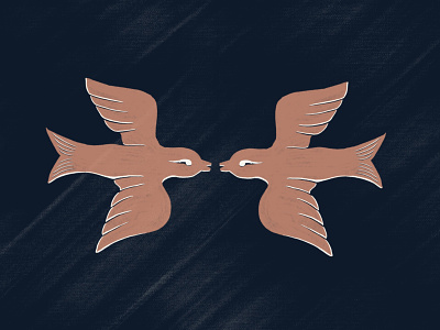 Palomas austin austin texas branding color design flat icon illustration logo vector