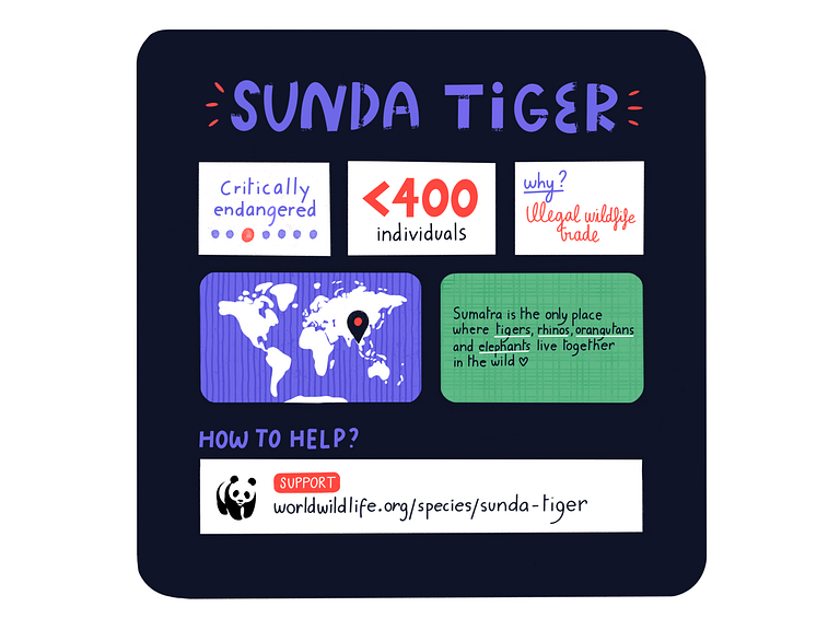 Sunda Tiger - Dandy Endangered Species by Mylène Larnaud on Dribbble